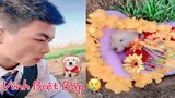 Thú Cưng Vlog | Bắp Của Đại Ca Đã Mất 😢 | Vĩnh Biệt Bắp | Chó thông minh đáng yêu | Smart dog funny