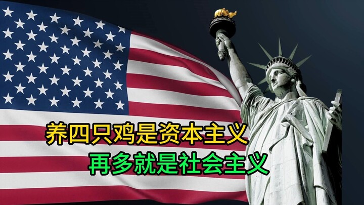 2025最大回旋镖 养四只鸡是资本主义 再多就是社会主义