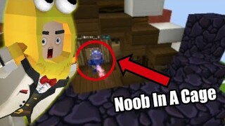 Caging Noobs In Bed Wars Solo - Blockman Go Blocky Mods