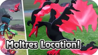 Pokémon Sword & Shield : Galarians Moltres Full Location (Crown Tundra)