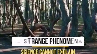 9 strange phenomena Science can't explain