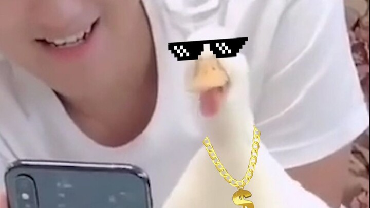 ว้า↗ ฮ่า↘ ฮ่า↗ ฮ่า↘ ฮ่า↗