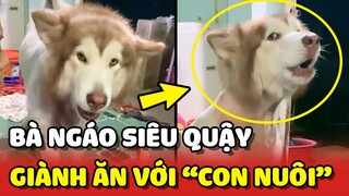 Bà Ngáo siêu quậy GIÀNH TỪNG MIẾNG ĂN với con nuôi trong nhà 😂 | Yêu Lu