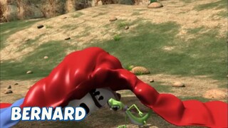 BERNARD BEAR || PARAGLIDING - CARTOON CHILDREN