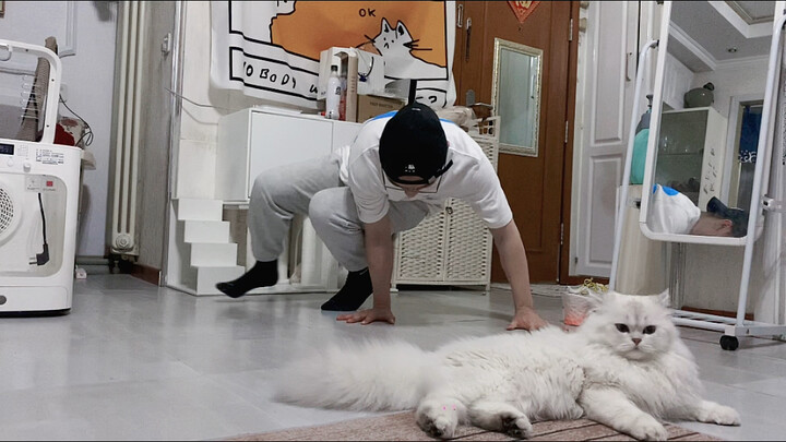 Stinky Juanbao pouts and acts cute, vying for the Stone Altar; Shen Gongbao practices his core techn