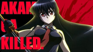 What Happened to Akame Ga Kill? | Anime & Manga Analysis