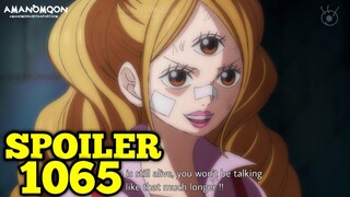 One Piece SPOILER 1065: ESTO ES EPICOOO, Una Gran Revelación!!!