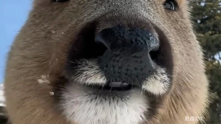 Sangat mirip dengan seorang teman lama saya.