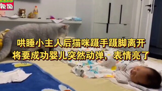 哄睡小主人后猫咪蹑手蹑脚离开，将要成功婴儿突然动弹，表情亮了