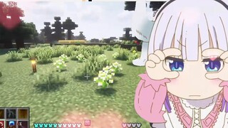 Look, look, little flower——
