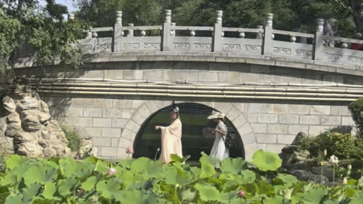 Xi’an’s summer-limited Hanfu photo spots: Hanfu and lotus flowers are the perfect match!
