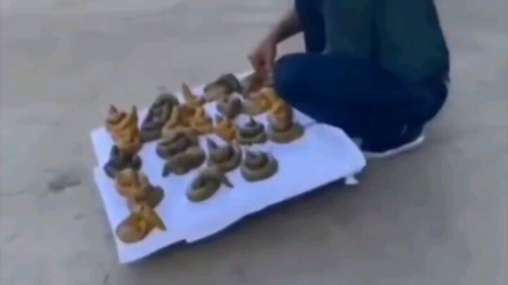 I’m afraid what’s being sold here isn’t real poop.