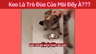 Mày nhìn mặt tao có zui hong #videohai #haihuoc #funny