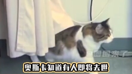 Hewan-hewan kecil memang benar-benar menakjubkan