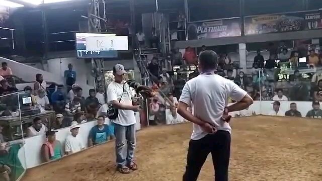 1st fight 2hits nakachamba