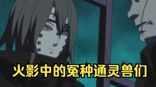 火影里都有哪些通灵兽被整成了大怨种