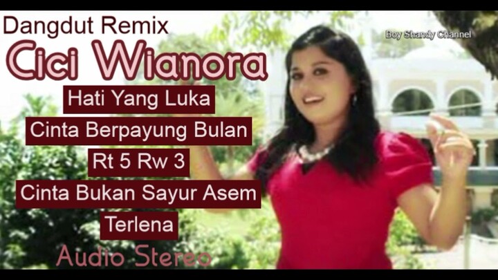 Dangdut Hati Yang Luka - Cici Wianora - Audio Stereo