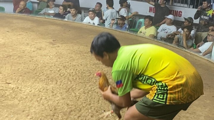 4xWinnerKabyara
