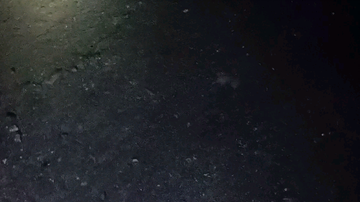 Sudah mencari di bagian bawah gunung, tapi tetap tidak ketemu.