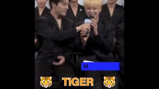Who can show the best animal imitation? Hoshi: Grrrr🐯#seventeen #hoshi #dino #scoups #mingyu#dk #jun