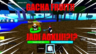 gacha di game blox fruit dapat fruit op??