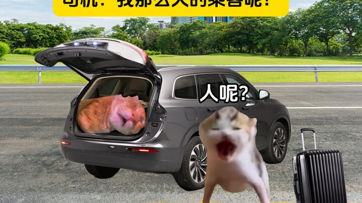 司机：我那么大的乘客呢