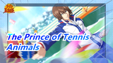 The Prince of Tennis|[Husbandos] Animals