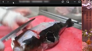 [Kemaimai] Ikan buntal melihat ikan buntal dimasak menjadi hidangan