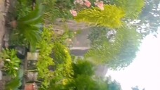 It's still raining now at the Philippines🇵🇭 at all or Anyone else 🥰🥰🥰🤩🤗 #Cool #coldTheDay