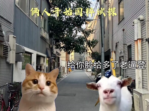 How to Identify Fellow Chinese in Japan