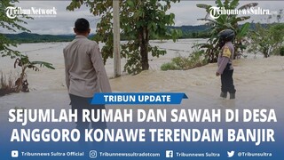 Banjir Rendam Puluhan Rumah Warga dan Persawahan di Desa Anggoro Abuki Konawe Sulawesi Tenggara