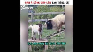 Bạn À Sống Đẹp Lên Phiên Bản Tiếng Dê