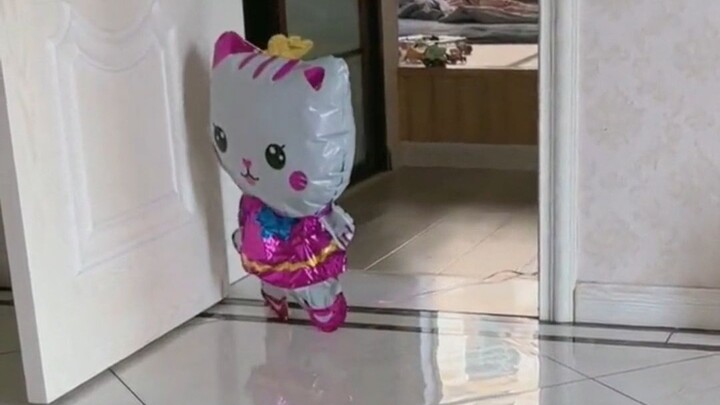 สาวอยู่บ้านคนเดียวถูกลูกโป่งทำให้ตกใจสุดขีด ชาวเน็ตบอก: ที่สำคัญมันหยุดนิ่งหลังจากมองเห็นเธอ!