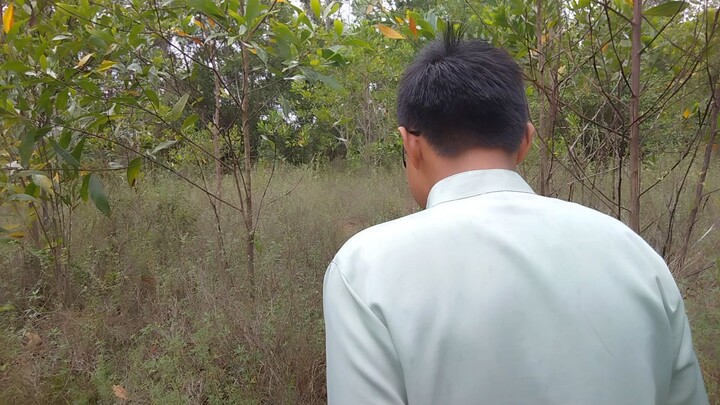 husai 3