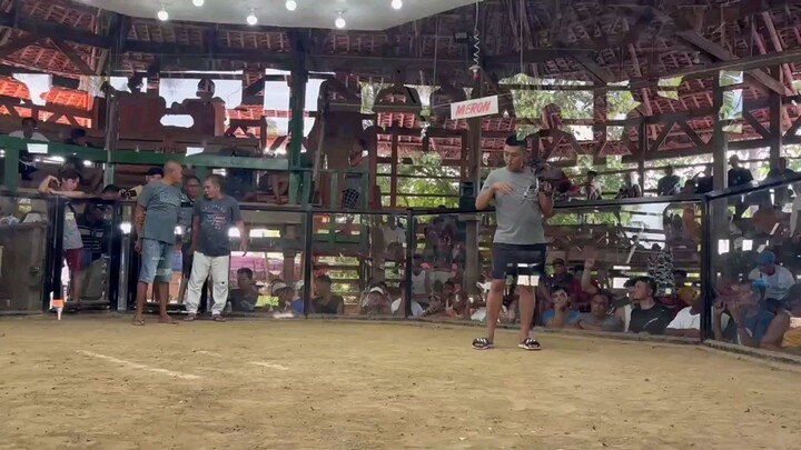 WPC SABONG TV