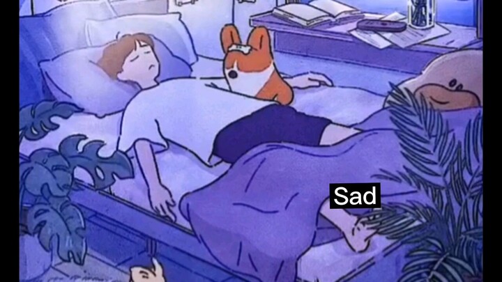 bài hát hay nhất Bilibili