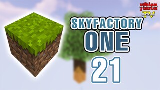 SkyFactory One 21 - Sở Thú Mini Của Bé