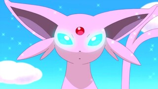 🌺Pokemon AMV - Kill This Love