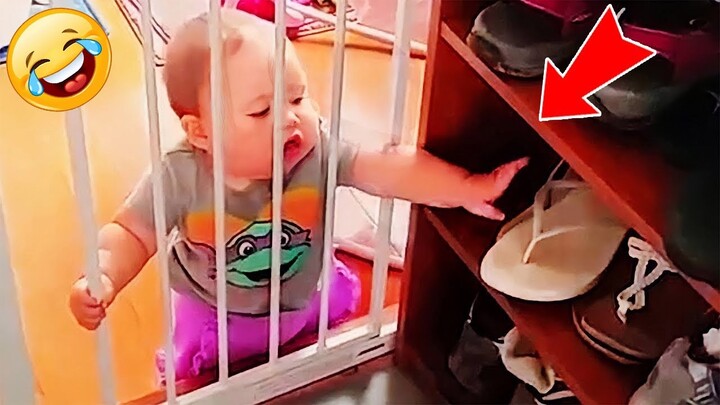Videos De Risa 2022 nuevos 😂 Videos Graciosos - Bebés Divertidos Traviesos Furtivos Roban