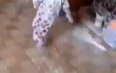 Satu tamparan mengeluarkan jiwa