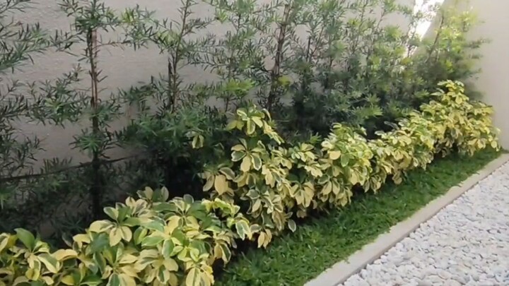 WAG NA WAG KANG BIBILI NG BAHAY DITO SA EASTERN