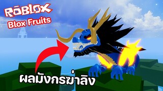 Roblox : Blox Fruits มังกรมีหูกระต่ายได้หรือไม่?