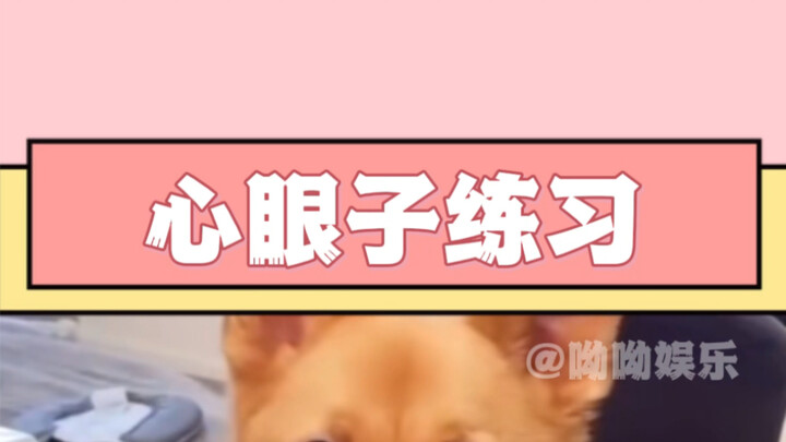 这种情况下，你会怎么办？