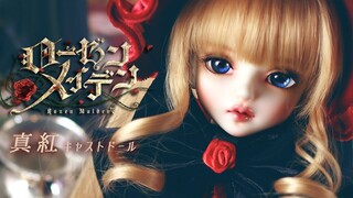 [فتح صندوق دمية BJD] دمية روزن مايدن سكارليت (نفدت طبعتها) | دمية ترو ريد (فتح صندوق دمية DOLK)