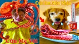Thú Cưng TV | Gâu Đần và Bà Mẹ #15 | Chó Golden Gâu Đần thông minh vui nhộn | Pets cute smart dog