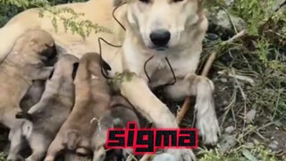 "هكذا، أصبح فنًا"