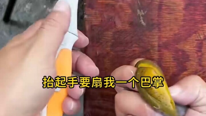 Exciting Novel - 1913079394944999425