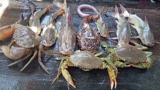 MÓN ĂN BIỂN • Cá Tôm Cua Xào Lăng | Ngư Dân Miền Tây