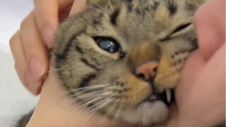 The little "stinky roll" who stayed home for the New Year is so reluctant to part with his mom!