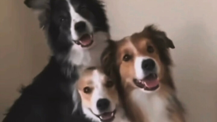 “มีชีวิตบางอย่างที่วนเวียนมาเพื่อรักษาเยียวยาคุณ”